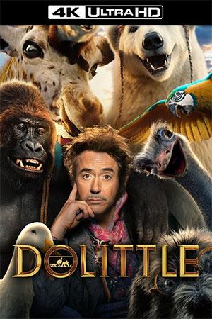 Dolittle (2020) BluRay Dual Audio {Hindi-English} 480p [350MB] | 720p [1.1GB] | 1080p [3.4GB] | 2160p [5.3GB] 4K UHD SDR