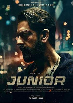 Junior (2023) Punjabi WEB-DL 480p [400MB] | 720p [1.1GB] | 1080p [2.2GB]