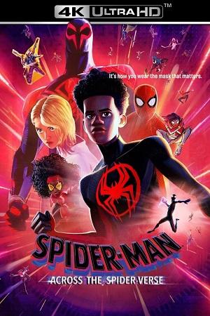 Spider-Man: Across the Spider-Verse (2023) BluRay Dual Audio {Hindi-English} 480p [480MB] | 720p [1.3GB] | 1080p [3GB] | 2160p [20GB] 4K SDR