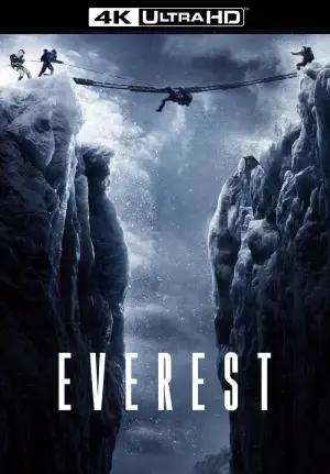 Everest (2015) BluRay Dual Audio [Hindi ORG. + English] 480p [450MB] | 720p [1.2GB] | 1080p [2.1GB] | 2160p 4k UHD [11.5GB]