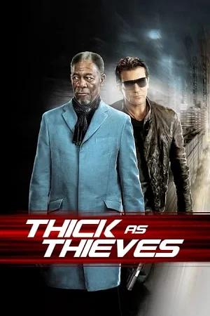 Thick as Thieves (2009) BluRay Dual Audio {Hindi-English} 480p [370MB] | 720p [1.1GB] | 1080p [2.1GB]