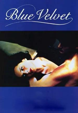 Blue Velvet (1986) BluRay Dual Audio [Hindi ORG. + English] Full Movie 480p [400MB] | 720p [1GB] | 1080p [2.4GB]